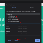 Clear Mega site storage Cookies